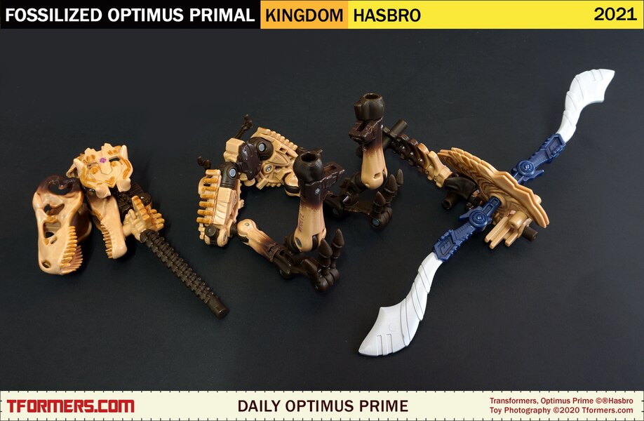 Daily Prime   Transformers Kingdom Fossilized Optimus Primal  (9 of 9)